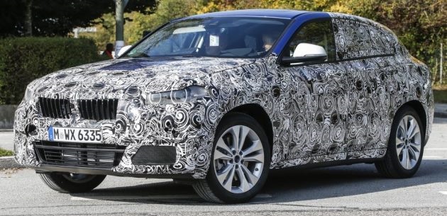Bmw x 12